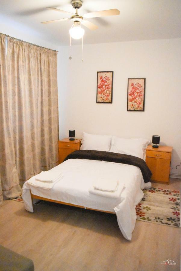 טימישוארה Spacious And Cozy 3Bd+Terrace Couples Apartment מראה חיצוני תמונה