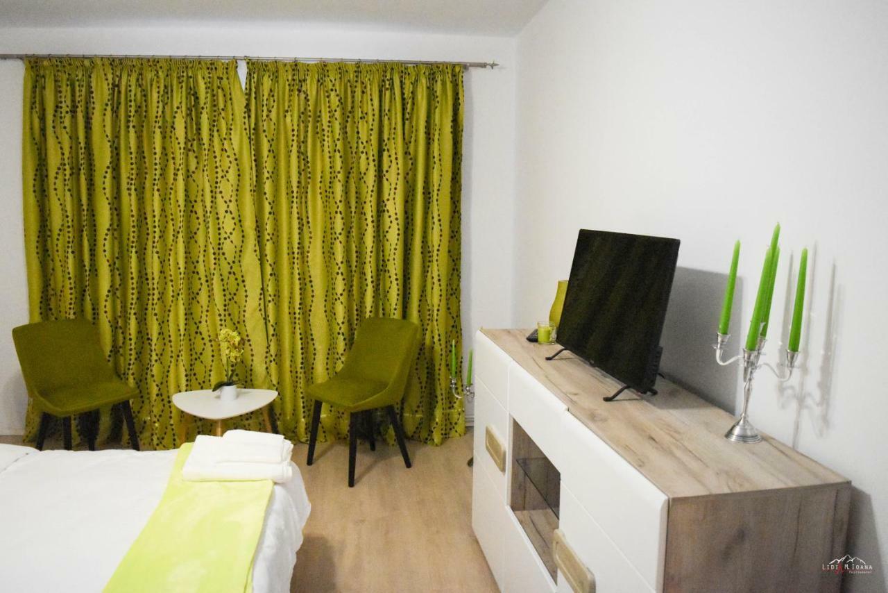 טימישוארה Spacious And Cozy 3Bd+Terrace Couples Apartment מראה חיצוני תמונה