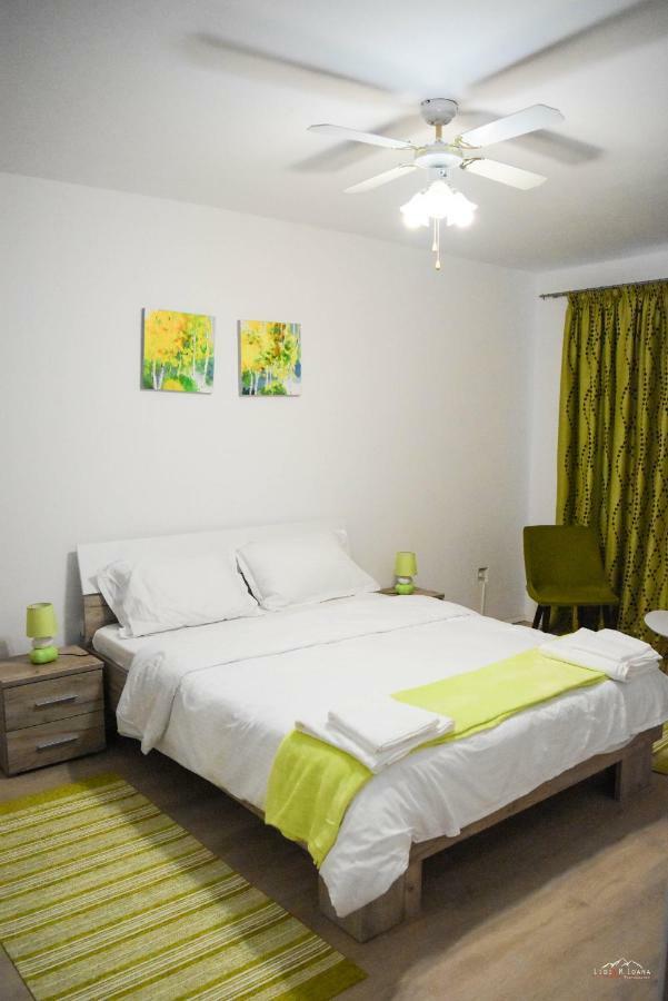 טימישוארה Spacious And Cozy 3Bd+Terrace Couples Apartment מראה חיצוני תמונה