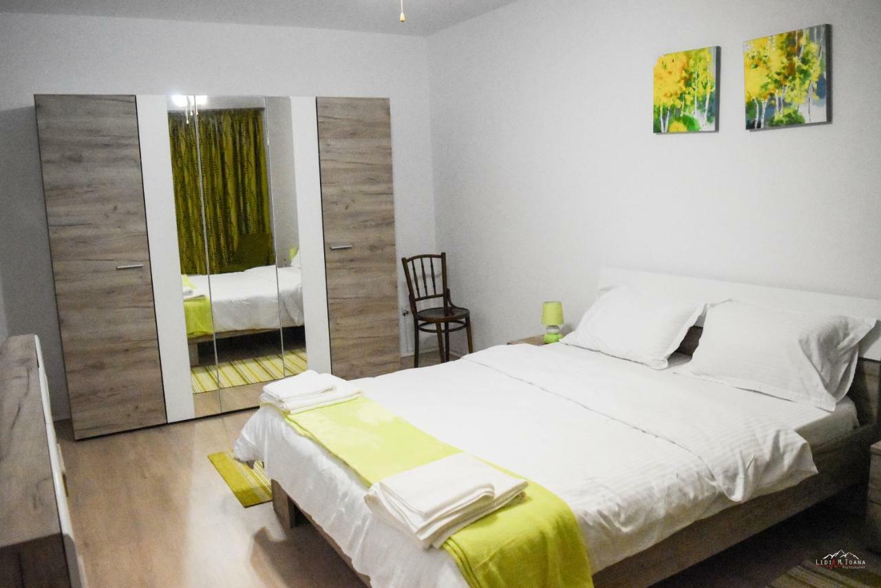 טימישוארה Spacious And Cozy 3Bd+Terrace Couples Apartment מראה חיצוני תמונה