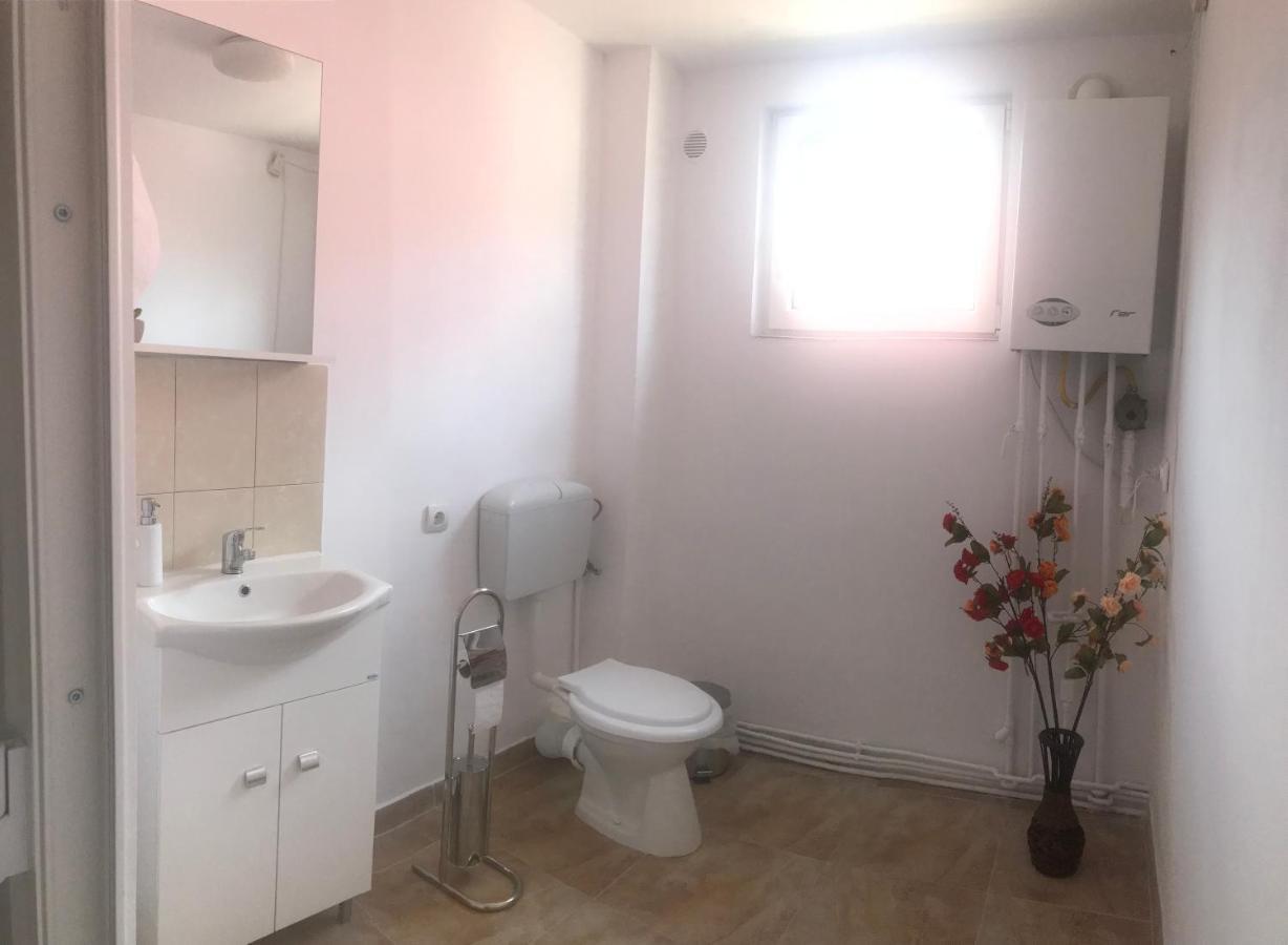טימישוארה Spacious And Cozy 3Bd+Terrace Couples Apartment מראה חיצוני תמונה